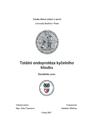 Náhled dokumentu