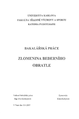 Náhled dokumentu