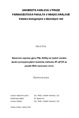 Náhled dokumentu