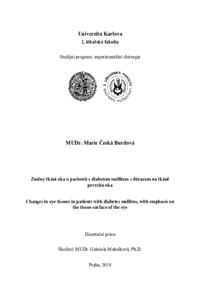 Náhled dokumentu