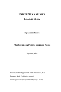 Náhled dokumentu