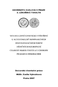 Náhled dokumentu