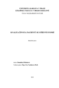 Náhled dokumentu