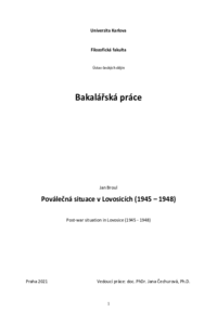 Náhled dokumentu