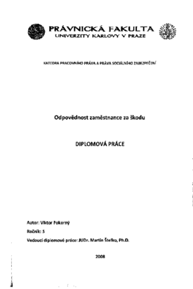 Náhled dokumentu