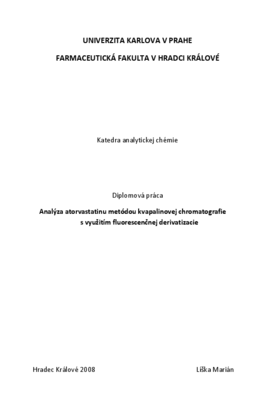 Náhled dokumentu