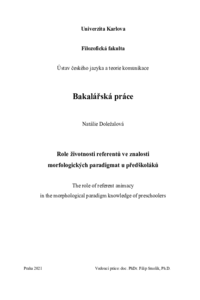 Náhled dokumentu