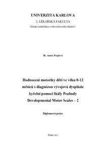 Náhled dokumentu