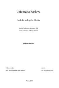 Náhled dokumentu