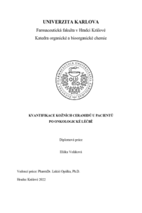 Náhled dokumentu