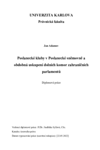 Náhled dokumentu