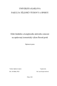 Náhled dokumentu