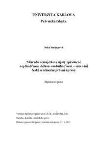 Náhled dokumentu