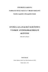 Náhled dokumentu