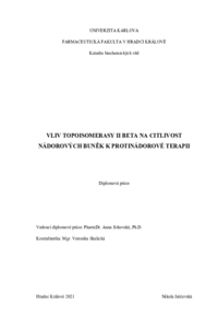 Náhled dokumentu