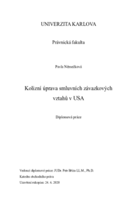 Náhled dokumentu