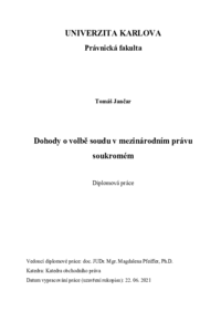 Náhled dokumentu