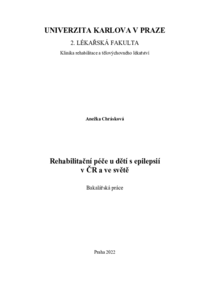 Náhled dokumentu