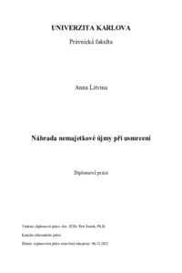 Náhled dokumentu
