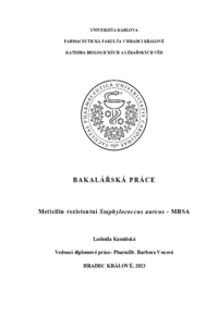 Document thumbnail