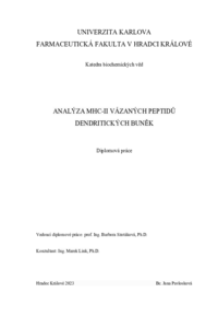 Náhled dokumentu