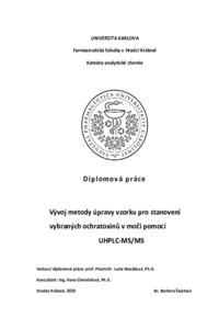 Náhled dokumentu