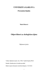 Document thumbnail