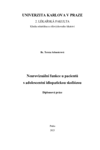 Document thumbnail