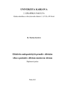 Náhled dokumentu