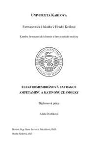 Náhled dokumentu