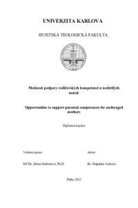Náhled dokumentu
