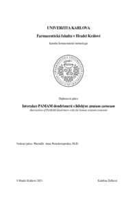 Náhled dokumentu