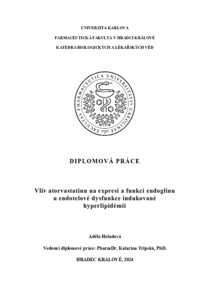 Náhled dokumentu