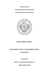 Náhled dokumentu