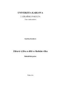 Náhled dokumentu