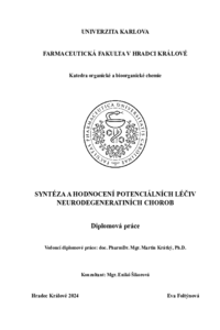 Náhled dokumentu