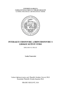 Náhled dokumentu