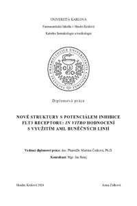 Náhled dokumentu