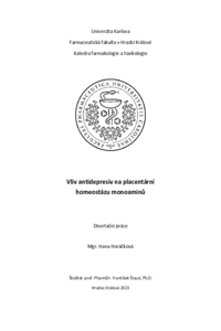 Náhled dokumentu