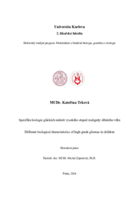 Náhled dokumentu