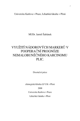 Náhled dokumentu