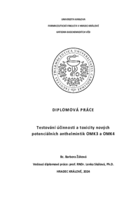 Náhled dokumentu