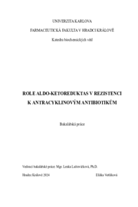 Náhled dokumentu