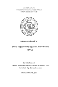 Náhled dokumentu