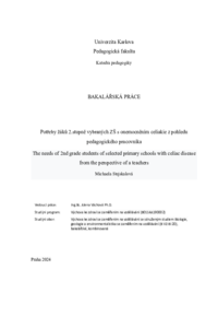 Náhled dokumentu