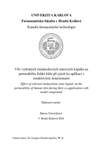 Náhled dokumentu