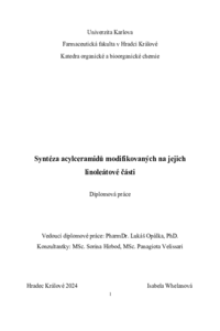 Náhled dokumentu