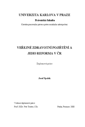Náhled dokumentu