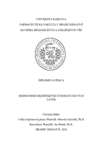 Náhled dokumentu