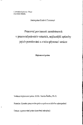 Náhled dokumentu